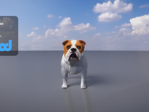 Bulldog 3Dモデル