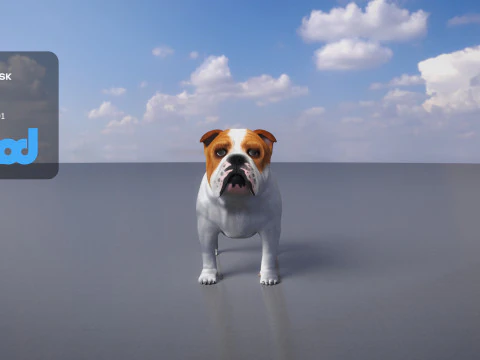 Bulldog 3D Model