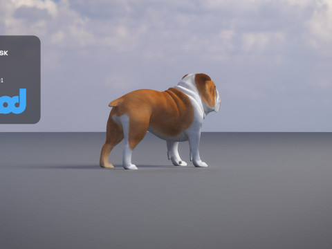 Bulldog 3Dモデル