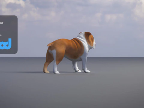 Bulldog 3D Model