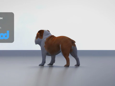 Bulldog 3D Model