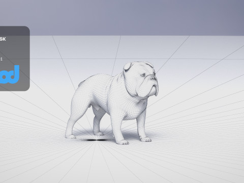 Bulldog 3Dモデル