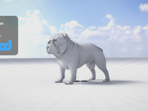 Bulldog 3Dモデル