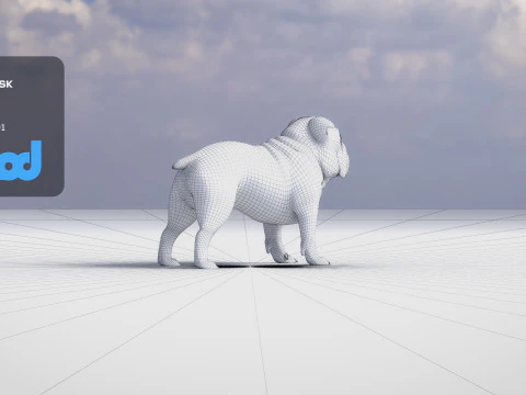 Bulldog 3D Model