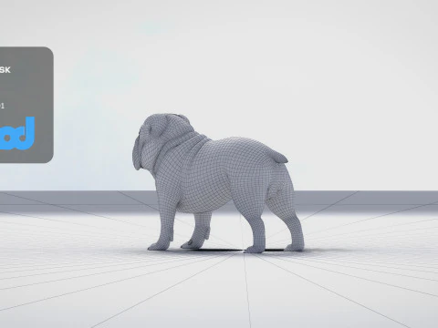 Bulldog 3D Model