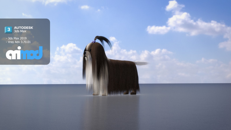 Shih Tzu Dog 3D Model .c4d .max .obj .3ds .fbx .stl .blend