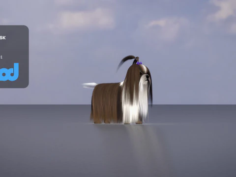 Shih Tzu Dog 3D Model