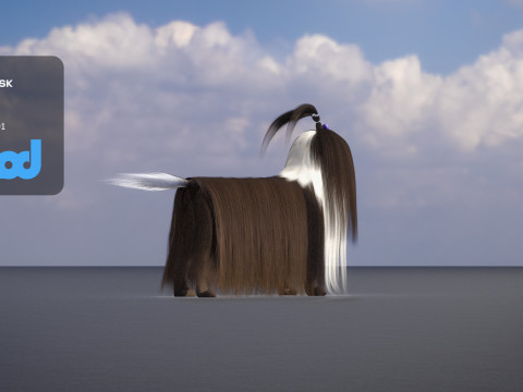 Shih Tzu Dog 3D Model