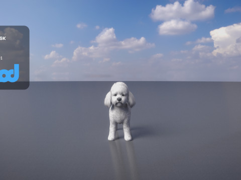 Poodle Dog small 3Dモデル