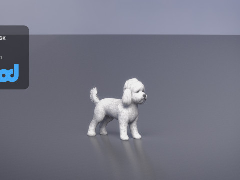 Poodle Dog small 3Dモデル