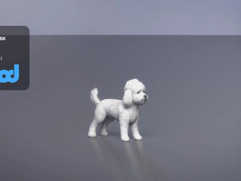 プードル犬小 3Dモデル
