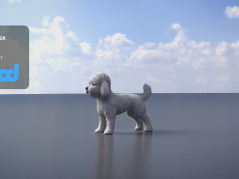 Poodle Dog small 3Dモデル
