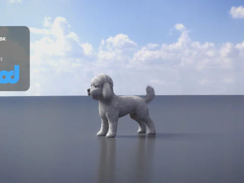 プードル犬小 3Dモデル