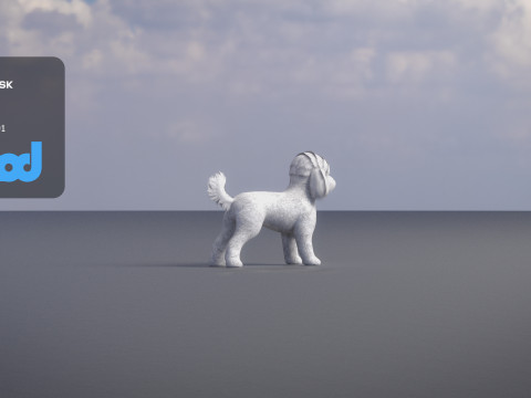 Poodle Dog small 3Dモデル