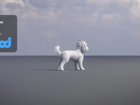 プードル犬小 3Dモデル