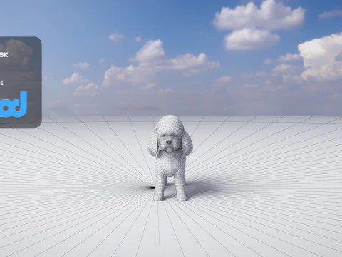 プードル犬小 3Dモデル