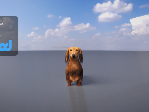 Dachshund 02 3Dモデル