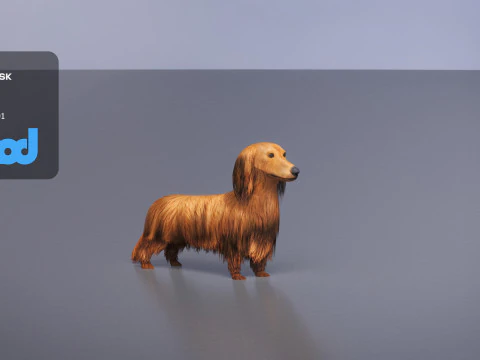 Dachshund 02 3D Model