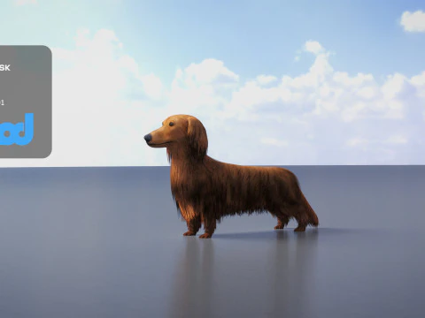 Dachshund 02 3D Model
