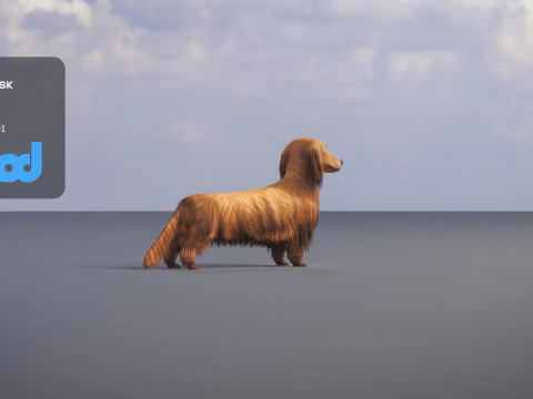 Dachshund 02 3D Model