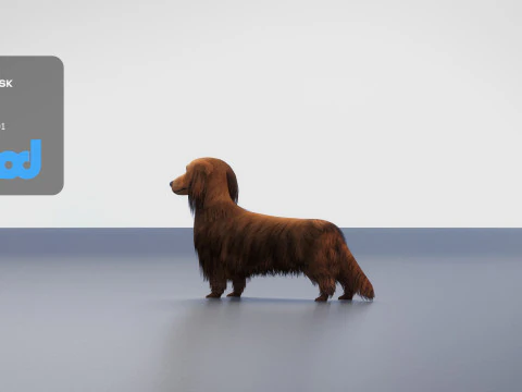 Dachshund 02 3D Model