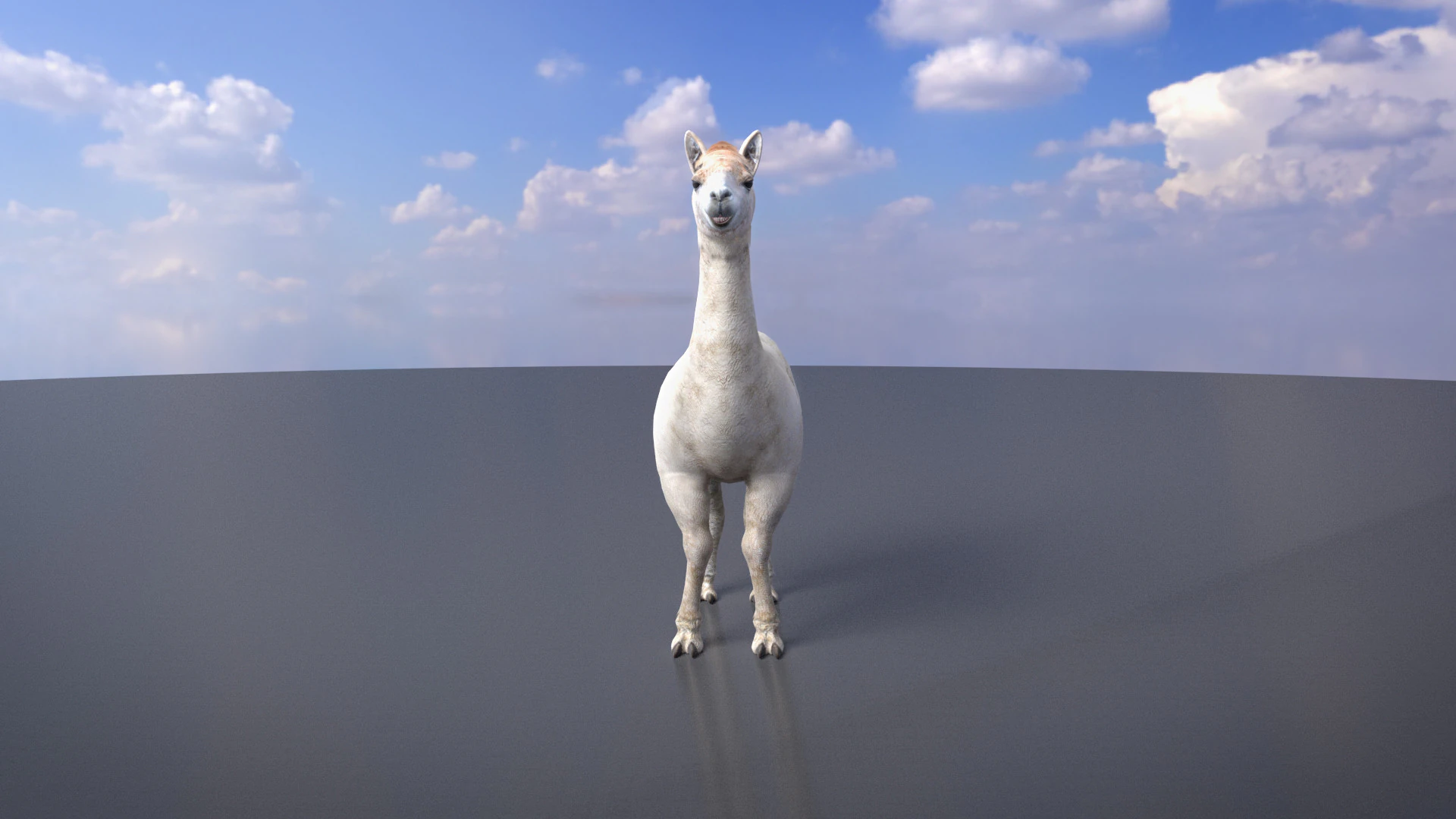 Alpaca 3D Model .c4d .max .obj .3ds .fbx .stl .blend 