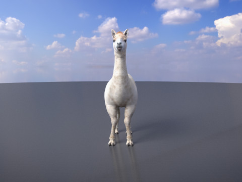 Alpaca 3Dモデル