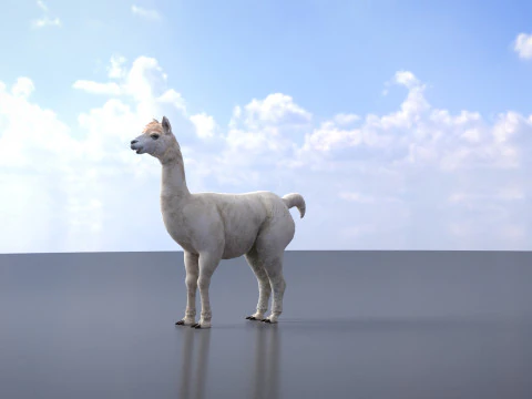 Alpaca 3D Model