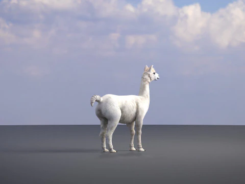 Alpaca 3D Model