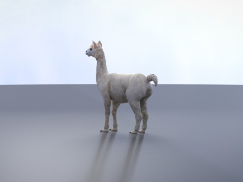 Alpaca 3Dモデル