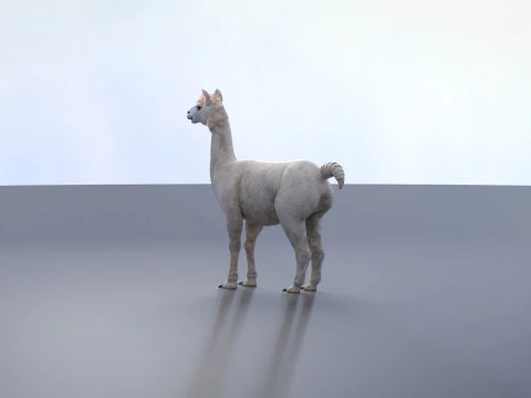 Alpaca 3D Model