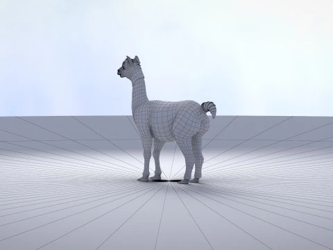 Alpaca 3D Model