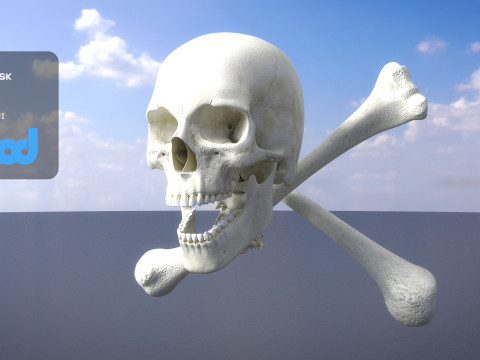 Skull Cross Bones Model 3D