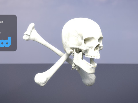 Skull Cross Bones 3D 模型