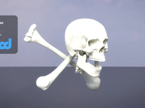 Skull Cross Bones 3D Model