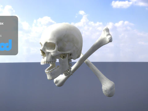 Skull Cross Bones 3D Model