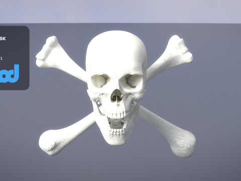 Skull Cross Bones 3D 模型
