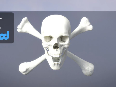 Skull Cross Bones 3D Model