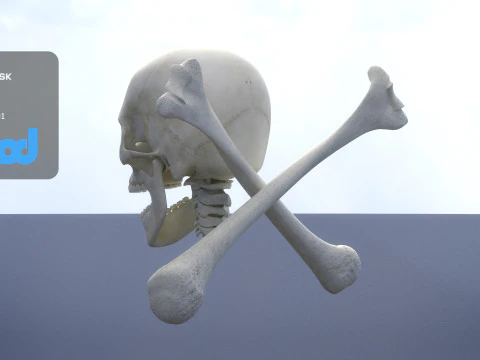 Skull Cross Bones 3D Model