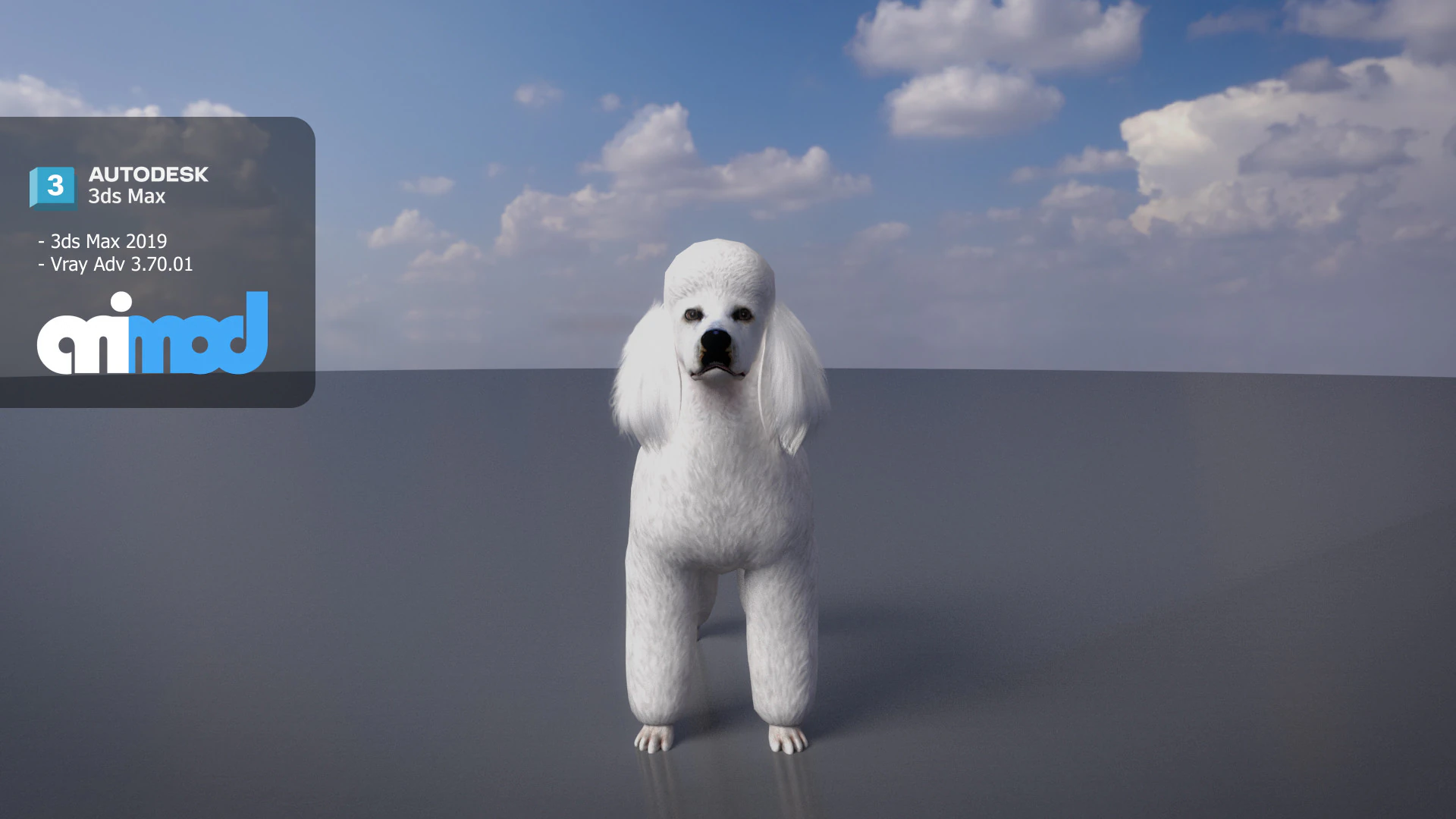 Poodle Dog Big 3D Model .c4d .max .obj .3ds .fbx .stl .blend 
