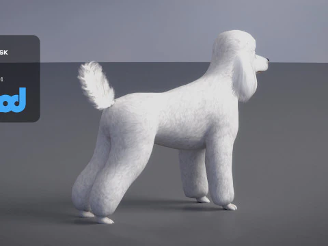 Poodle Dog Big 3D Model