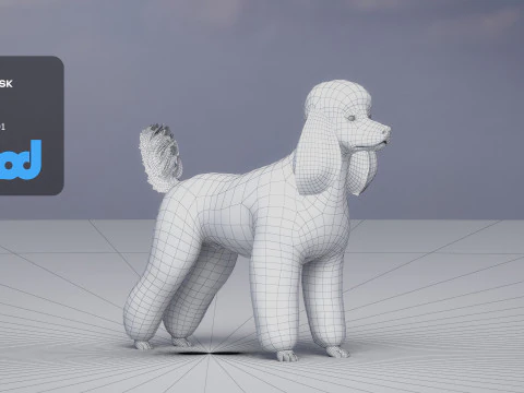 Poodle Dog Big 3D Model