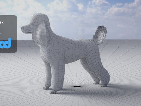 Poodle Dog Big 3Dモデル