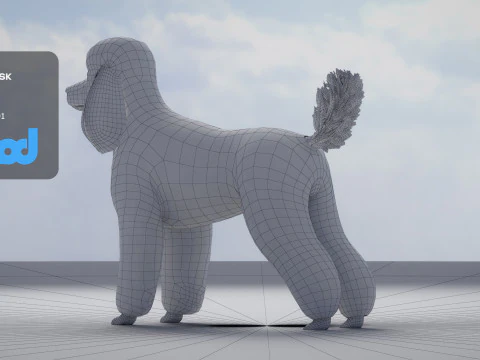 Poodle Dog Big 3D Model