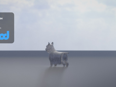 White Terrier Dog 3D Model