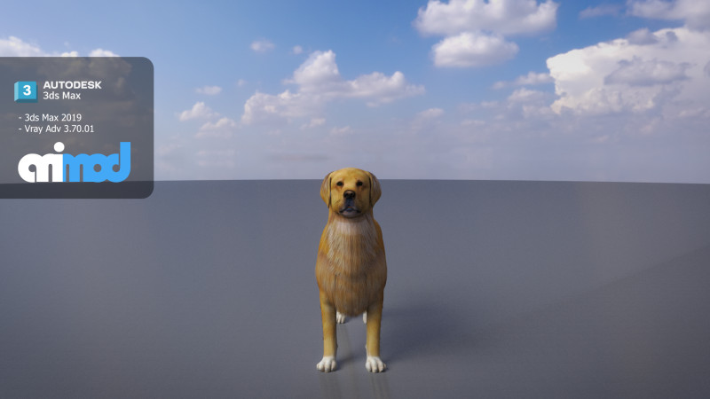 Golden Retriever 3D Model .c4d .max .obj .3ds .fbx .stl .blend 
