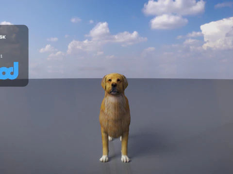 ゴールデンレトリバー 3Dモデル