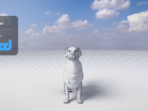 Golden Retriever 3D Model