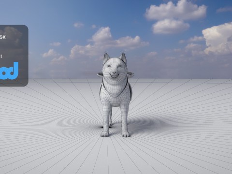 Shiba Inu 3D-Modell