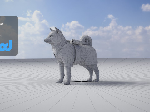 Shiba Inu 3D-Modell